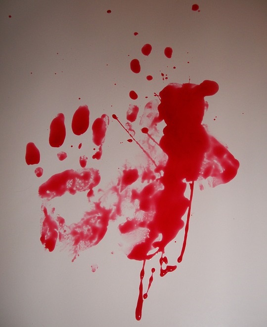 A picture of a wall with bloody handprints