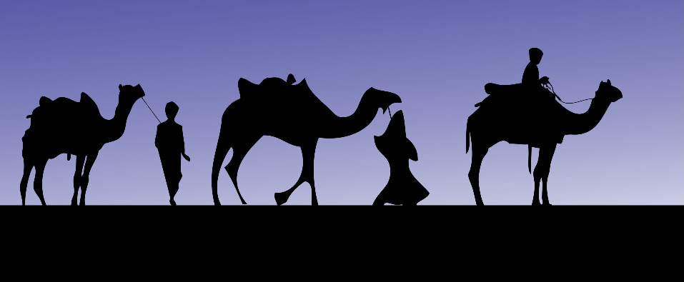 Silhouette of a Camel Procession